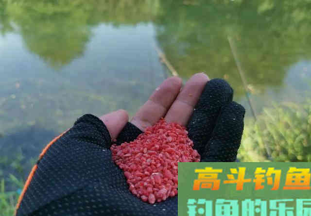 关于酒米的4个谣言，很多钓鱼人都被骗过