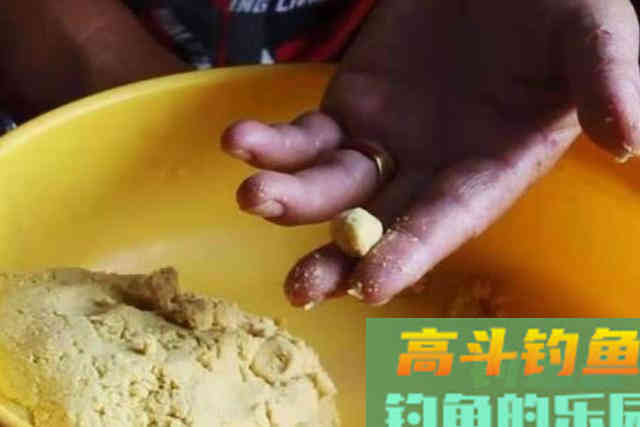 三伏天太热，大板鲫唯独钟爱这饵料