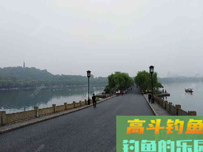 钓鱼老手对商品饵配比的实践体会