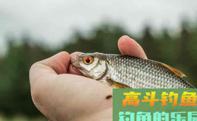 铅坠边太空豆打开好还是锁紧好？这可不能小视