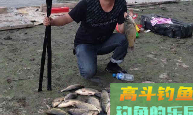 一提此物就感到香味浓郁，用它开饵钓鱼,鱼越钓越多