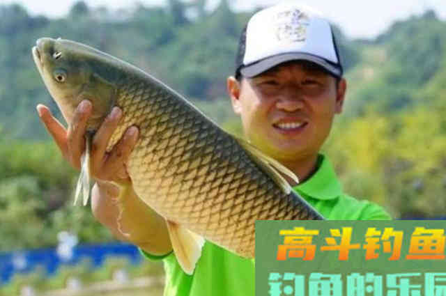 说了你可能不信，钓了那么多年草鱼，唯独这饵最实用