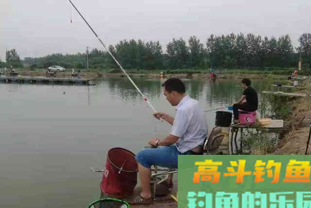 钓点有鱼星，却不肯吃钩？老司机说出真相
