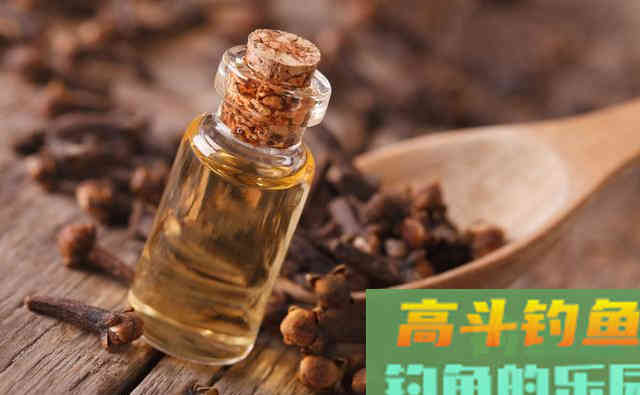蚯蚓这么去加工，诱鱼效果不止翻一倍