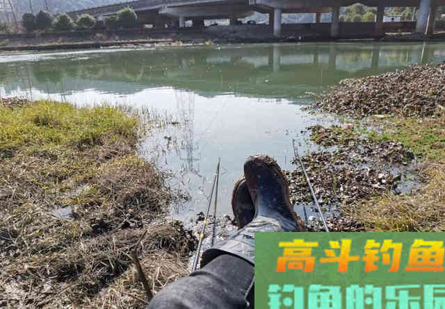 这3种非常规的打窝方式，在野钓中却经常能钓到大鱼