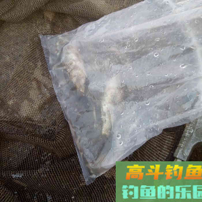 那熊学钓第72篇：灵活用饵
