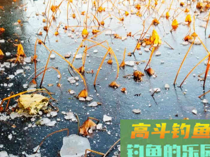 冬钓实操注意的细节，调漂与用饵的技巧