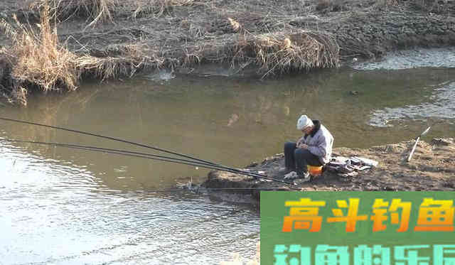 有鱼没口怎么办？别着急，找准原因才能解决问题
