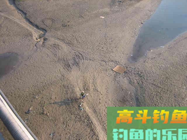 我钓鱼时常遇到的那位高手老黄，钓法出其不意