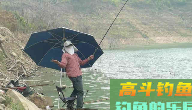 鱼突然停口了，别瞎想，就是不想吃了