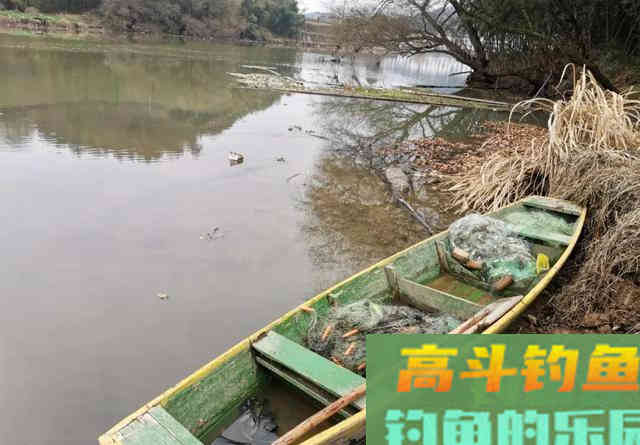 同一个钓位，昨天能连杆今天却空军！背后的原因你知道吗