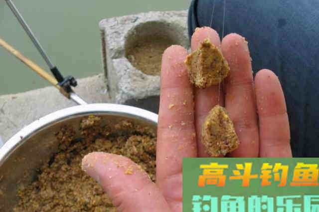 鲤鱼钓了三十年，至今才公开这饵料