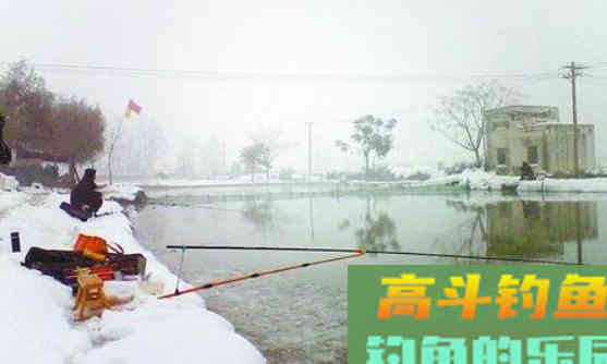 下雪之后天气寒冷，找对钓点、用对饵料也能钓到鱼