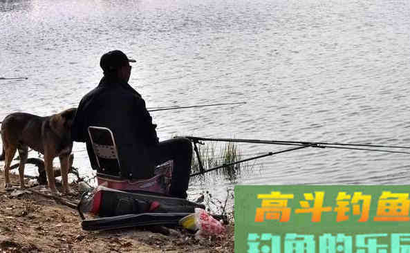 有鱼咬钩后，应该什么时候提竿