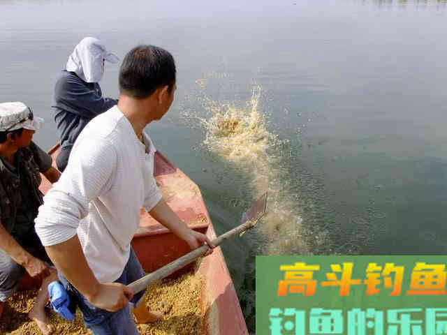 打窝真不是往水里盲目地扔诱饵