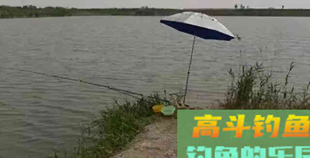 猫有毛路狗有狗道，找对鱼道，连杆爆护亦事半功倍