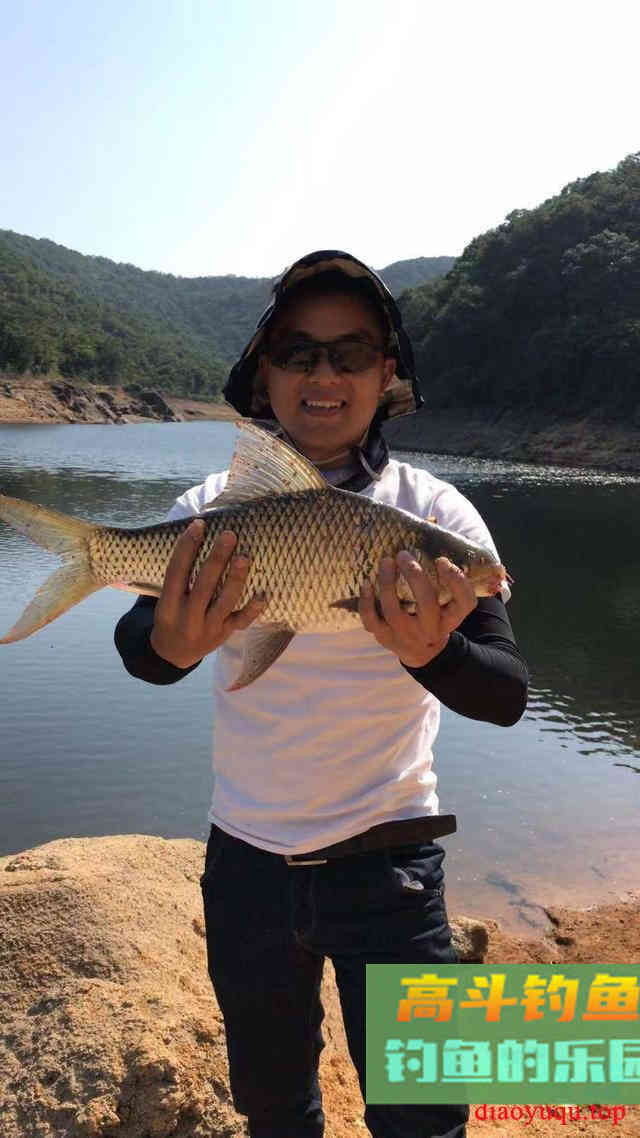 浅谈野钓打窝的散与聚，避开吃窝不吃饵的尴尬