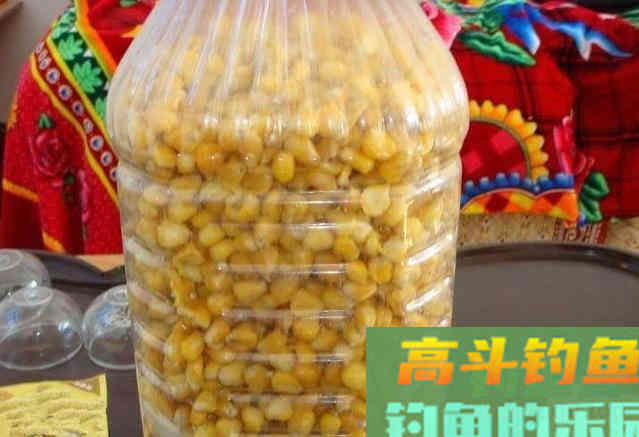掌握泡和煮，加工出来的玉米，不愁大鱼不进窝