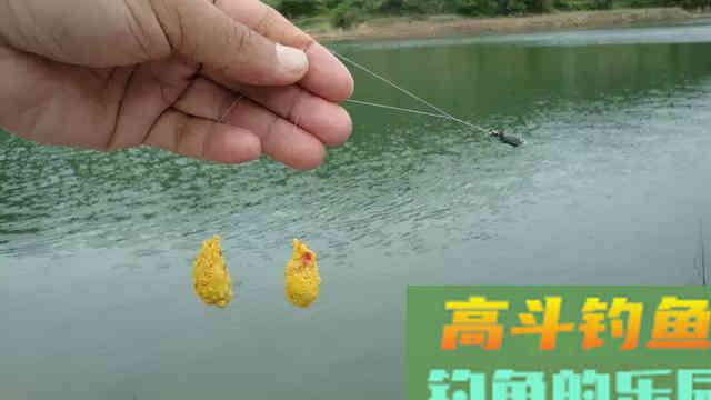 开饵配饵五个原则，开饵真的一点也不难