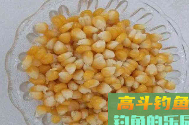 说了你可能不信，钓了那么多年草鱼，唯独这饵最实用
