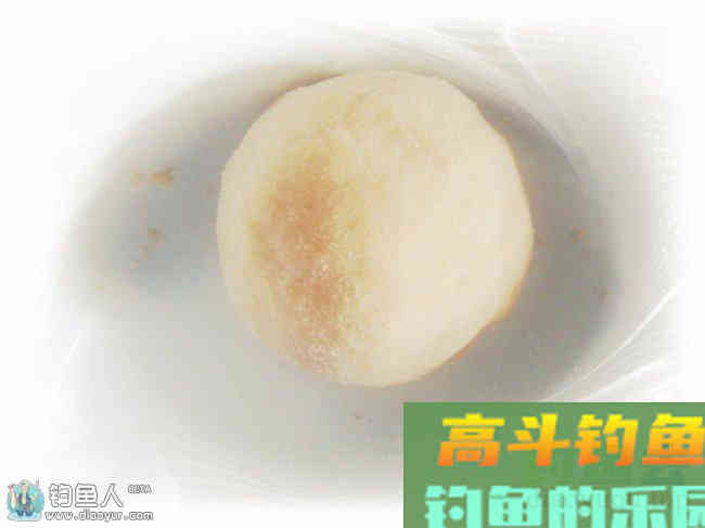 自用的丸九白饵，效果奇好来分享