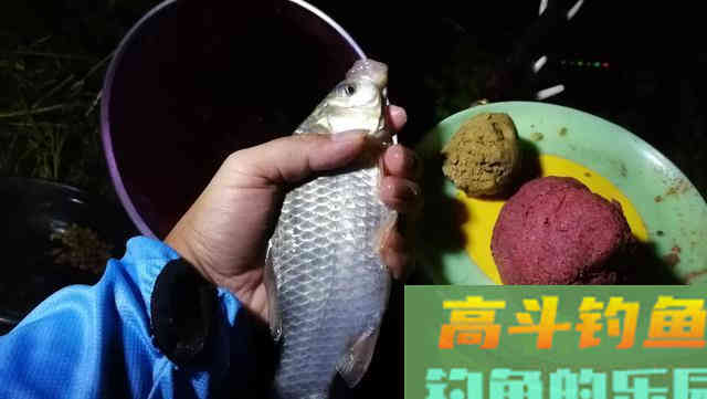 老钓友告诉你：记住这几招，浅水一样钓大鱼