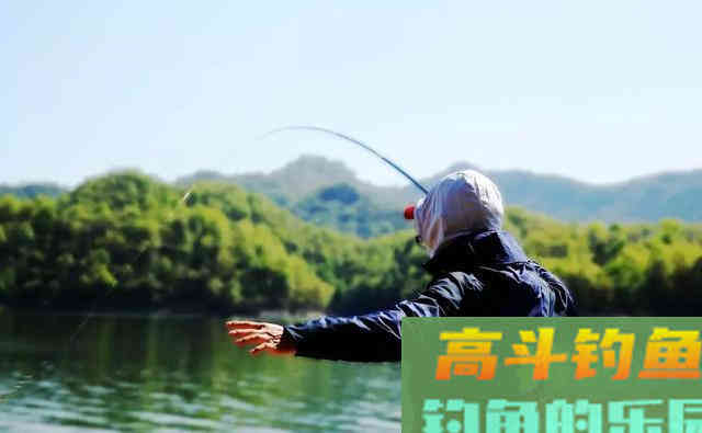 开饵方法稍作调整，不会钓鱼的也能爆钓鲢鳙