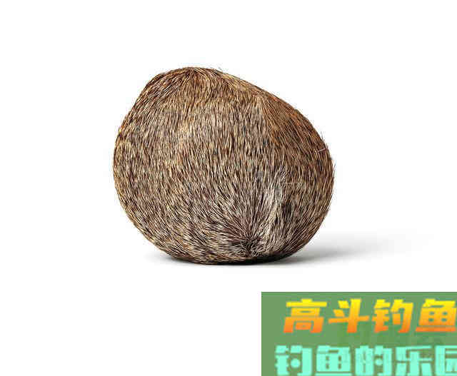 除了做药酒，还有麝香的这两种使用方法