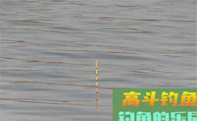气温变低，鱼口变轻，漂相莫等“大顿口”，这些漂相小，全都有效