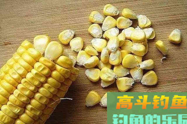 秋天的草鱼特难钓，大神无意透露这样一款特效饵