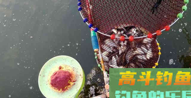 新手养成这四个好习惯，渔获自然少不了