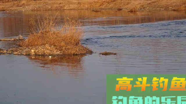 钓点走水，教你四个招数，激流一样能下杆