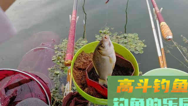 这些冬钓常识，老手必备，新手要学