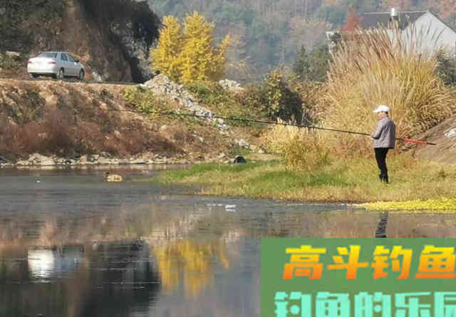 天气冷传统钓大显威力，新手学会3件事