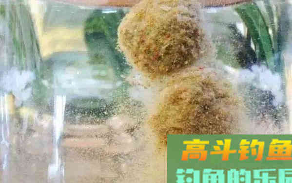 关于饵料的这几个细节，没做到，爆护的配方也得空军