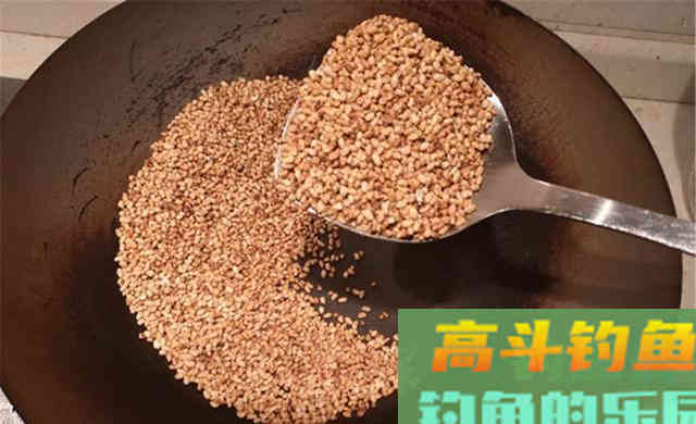冬钓鲫鱼，酒米的3大科学用法