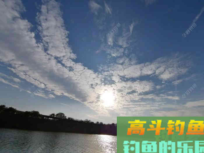 蓝鲫如何单开拉饵、搓饵？拉饵又如何增加雾化