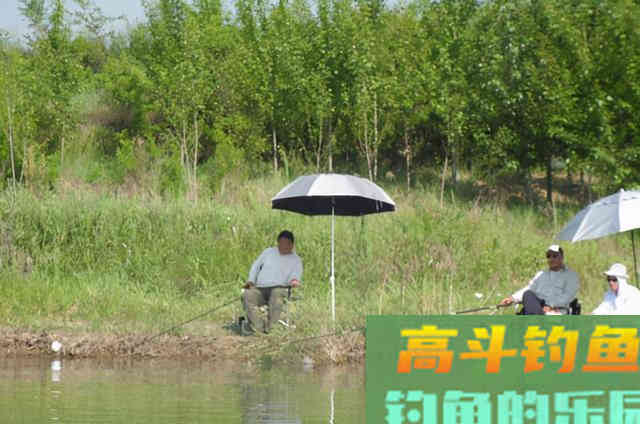 逗钓的五种常见手法，会三种就是老鸟了