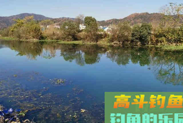 初春钓鱼，掌握好出钓时机比打重窝更管用