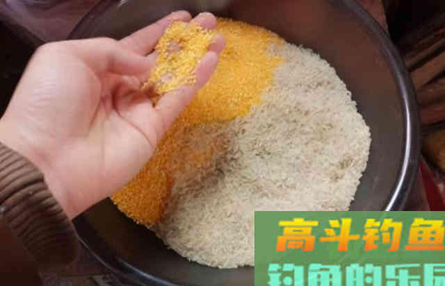 钓着钓着就停口了，老司机无奈说出原因