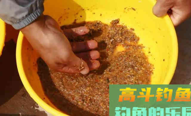 不同的鱼喜欢不同的饵料状态