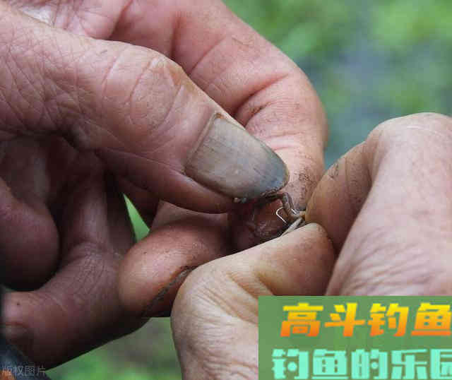 别再迷信小药，沉迷于味型了
