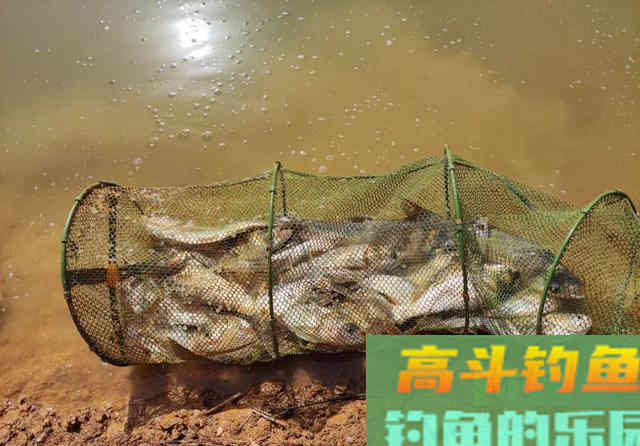 水太肥鱼难钓？遇到肥水最实用的几个办法