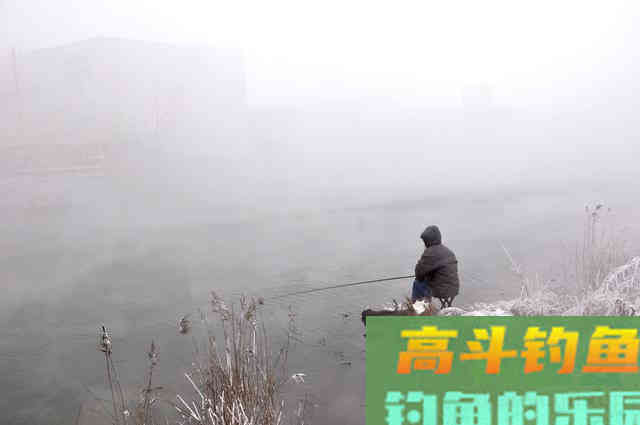 高频率抽杆，诱鱼效果是杠杠滴，但在冬天要慎用