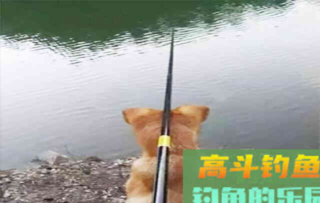 为什么说：钓鱼人的嘴不可全信