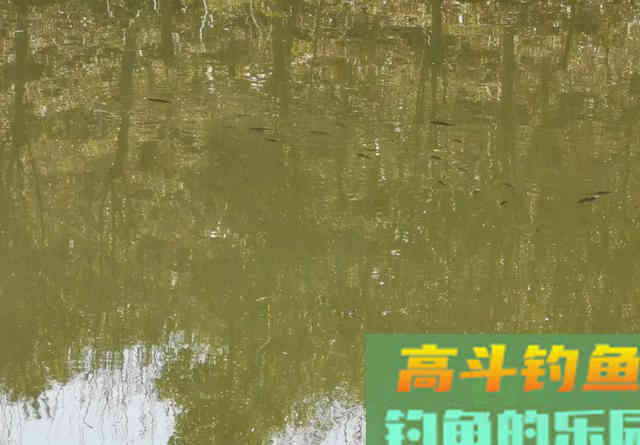天气闷热鱼不开口咋办？试试这几招