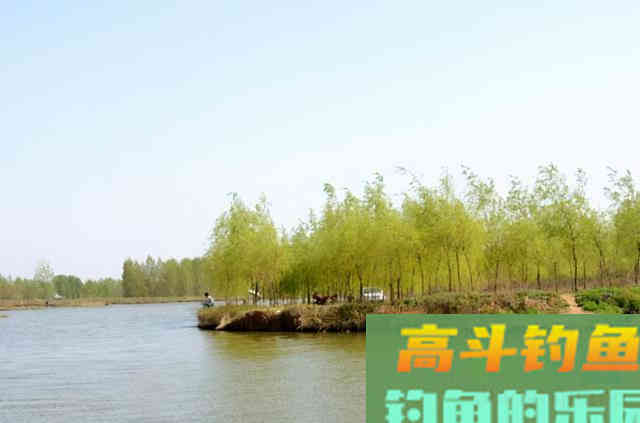 猫有毛路狗有狗道，找对鱼道，连杆爆护亦事半功倍