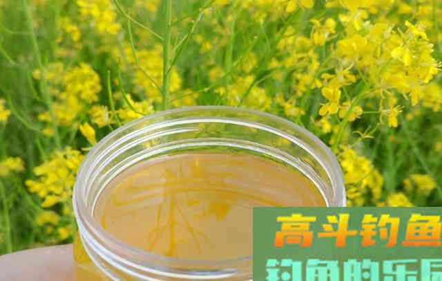 钓鱼添加剂别买了，在家做一次，一整年都够用