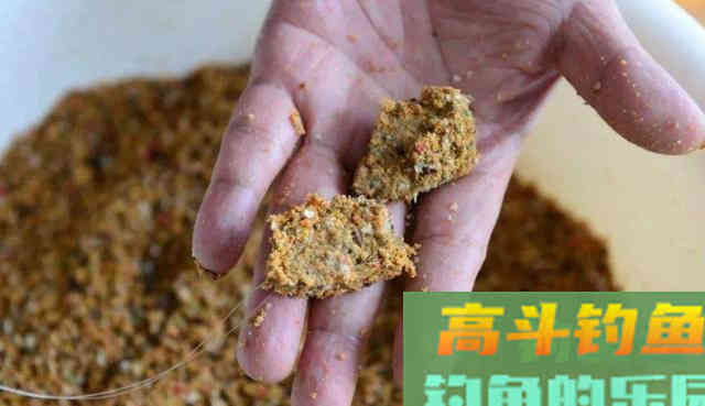 根据鱼情开饵料，千万不要迷信一种饵料状态