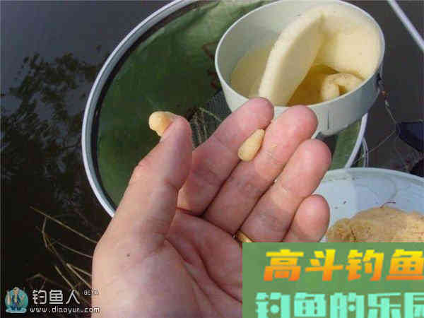 商品饵料的开制方式与过程
